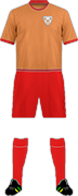 Camiseta REDPANDA F.C.