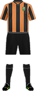 Camiseta PERSIBO BOJONEGORO