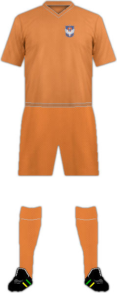 Camiseta ALBIREX NIIGATA