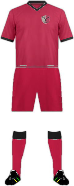 Camiseta KASHIMA ANTLERS F.C.