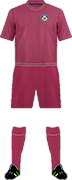 Camiseta KAISEIKAN F.C.