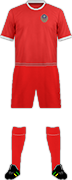 Camiseta KASHIMA F.C.