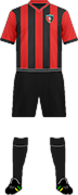 Camiseta NAKAIZUO F.C.