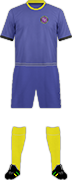 Camiseta NUMAZU HIGASHI F.C.
