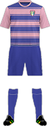 Camiseta SAKAI PHOENIX F.C.