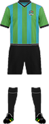 Camiseta SHINJO F.C.
