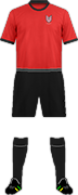 Camiseta TSUBAMESANJO CITY F.C.