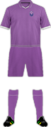 Camiseta TOKTOGUL F.C.-min