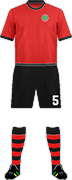Camiseta F.C. ISTIKLOL-min