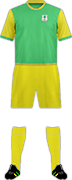 Camiseta GREEN LOVERS FC-min