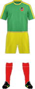 Camiseta DEFENCE FORCE S.C.