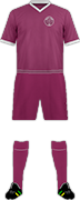 Camiseta MOROKA SWALLOWS FC