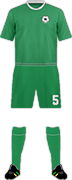 Camiseta GREEN BUFFALOES F.C.-min