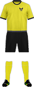 Camiseta UWI BLACKBIRDS(BAR)-min