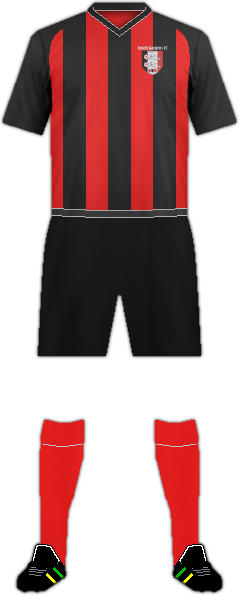 Camiseta ARNETT GARDENS F.C.