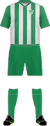 Camiseta ALFENENSE F.C.-min