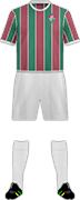 Camiseta FLUMINENSE F.C.-min