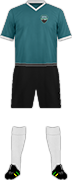 Camiseta C. DEPORTES ARAUCANÍA-min