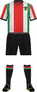 Camiseta C.D. PALESTINO-