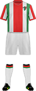 Camiseta C.D. PALESTINO-min