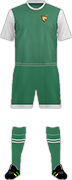Camiseta TIGRES QUINDÍO F.C.-min