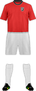 Camiseta LEONES F.C.(ECU)-min