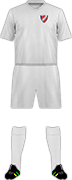 Camiseta COLEGIO NACIONAL IQUITOS-min