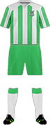 Camiseta F.C. SAN MARCOS(PERÚ)-min