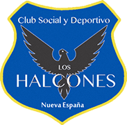 Escudo de C.S.D. LOS HALCONES-min