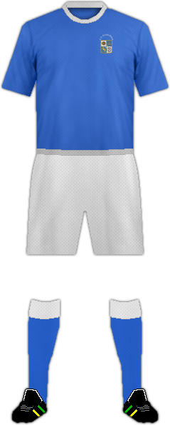 Camiseta C.D. ALHAURINO