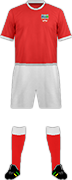 Camiseta U.D. FUENGIROLA-min