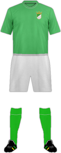 Camiseta C.D. QUINTO