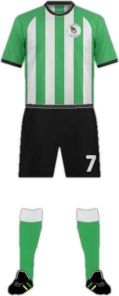 Camiseta C.F. VIMENOR