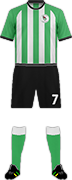 Camiseta C.F. VIMENOR-min
