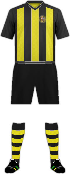 Camiseta CERVANTES C.F.