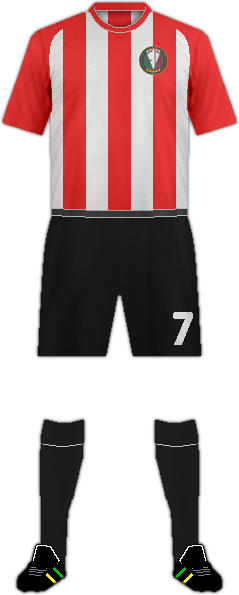 Camiseta VIC RIUPRIMER REFO F.C.