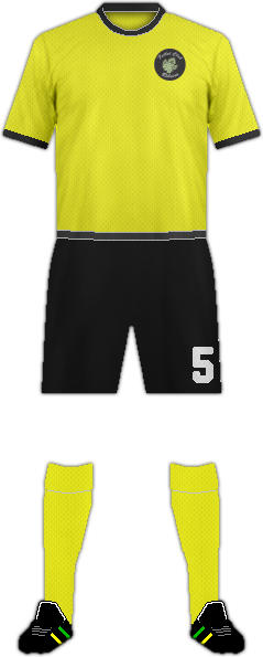 Camiseta F.C. RIBEIRO