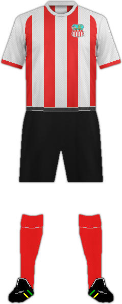 Camiseta S.D. JUVENIL