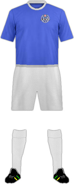 Camiseta C.D. VICÁLVARO