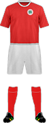 Camiseta SC ROT-WEISS OBERHAUSEN-min