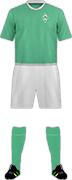 Camiseta SV WERDER BREMEN-min