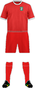 Camiseta SC-ESV PARNDORF-min
