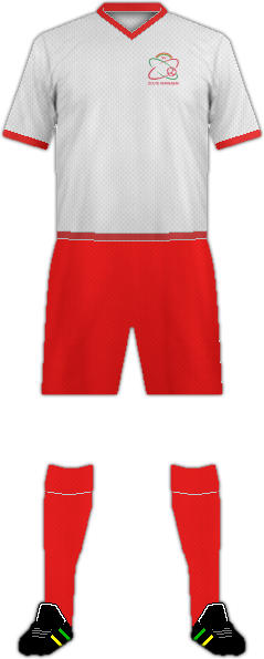 Camiseta SV ZULTE WAREGEM
