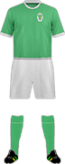 Camiseta FK GOMEL-min