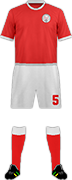 Camiseta BRECHIN CITY F.C.-min