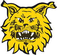 Escudo de FC ILVES TAMPEREEN-min