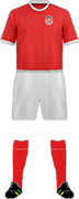 Camiseta F.C. ROUEN 1899-1-min