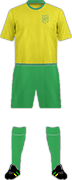 Camiseta FC NANTES-min