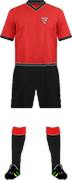 Camiseta FC RIJNVOGELS-min