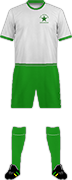 Camiseta RKSV GROENE STER-min